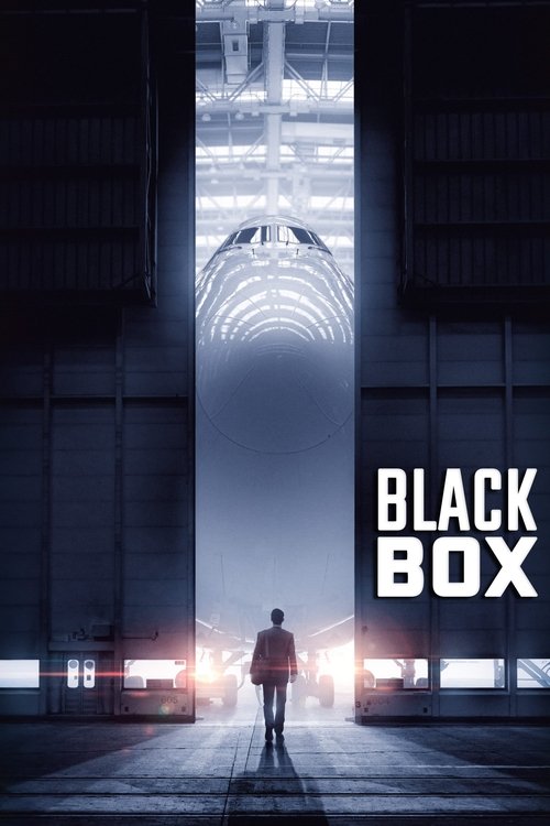 Black Box – Gefährliche Wahrheit