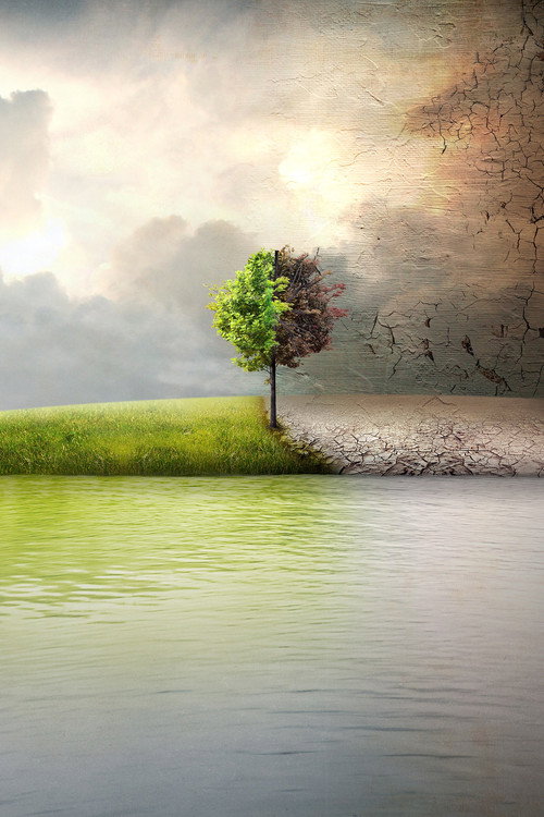 Before the Flood